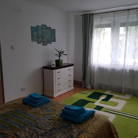 Aris Apartment Hunedoara Eksteriør bilde
