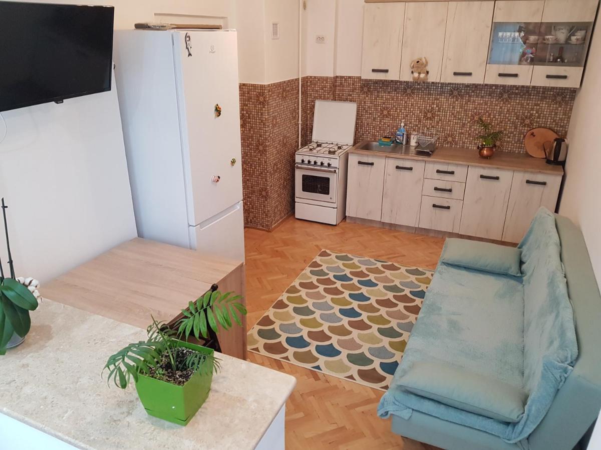 Aris Apartment Hunedoara Eksteriør bilde
