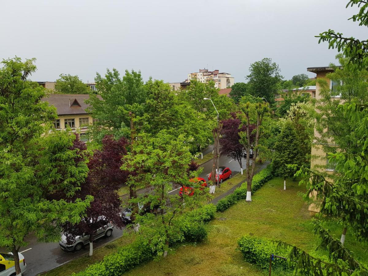 Aris Apartment Hunedoara Eksteriør bilde
